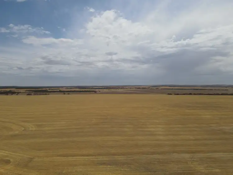Third view of Homely rural property listing, 'Raysons' Section 1 & 28 Eyre Highway, Solomon SA 5641