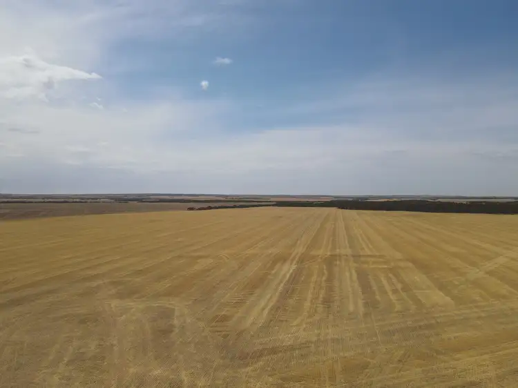 Fourth view of Homely rural property listing, 'Raysons' Section 1 & 28 Eyre Highway, Solomon SA 5641