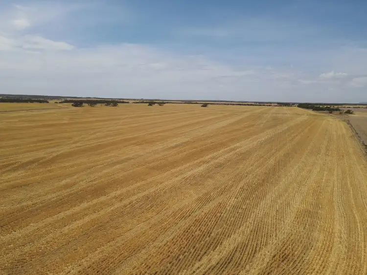 Fifth view of Homely rural property listing, 'Raysons' Section 1 & 28 Eyre Highway, Solomon SA 5641