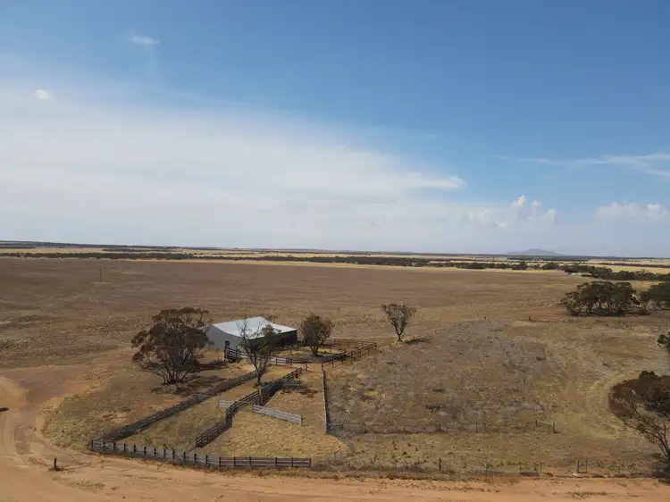 Seventh view of Homely rural property listing, 'Raysons' Section 1 & 28 Eyre Highway, Solomon SA 5641
