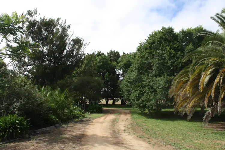 Second view of Homely rural property listing, 439 Singapore Rd, Yarroweyah VIC 3644