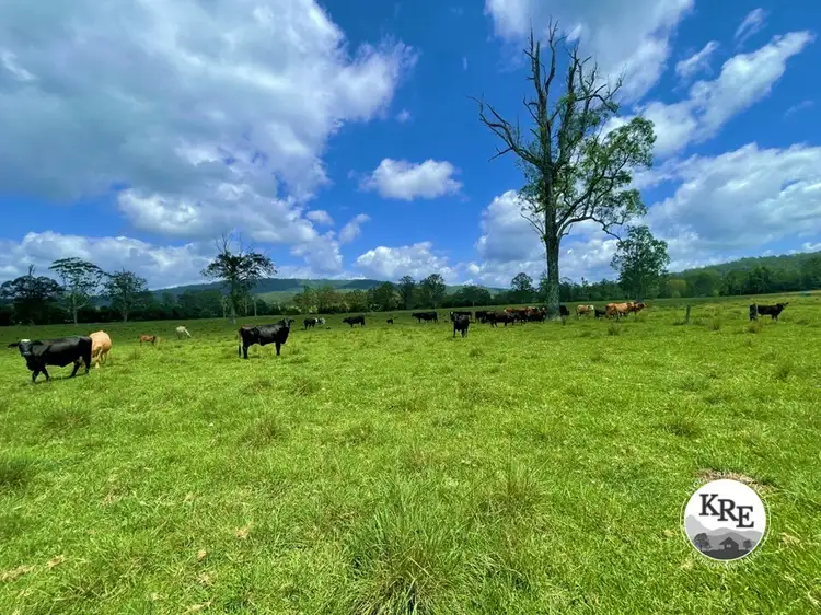 Main view of Homely rural property listing, 799 Ghinni Ghi Road, Kyogle NSW 2474