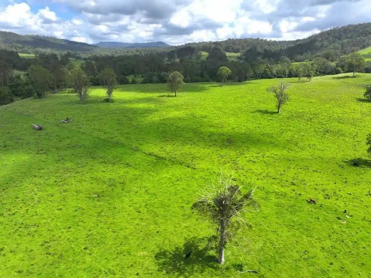 Second view of Homely rural property listing, 799 Ghinni Ghi Road, Kyogle NSW 2474
