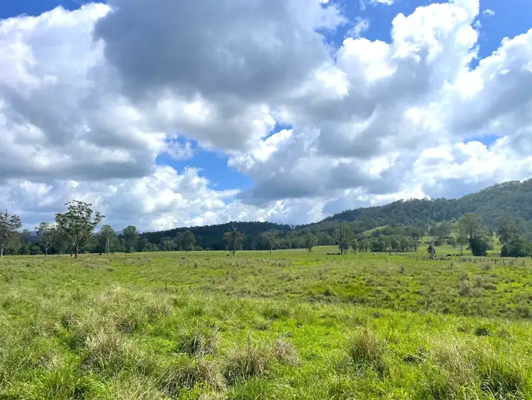 Third view of Homely rural property listing, 799 Ghinni Ghi Road, Kyogle NSW 2474