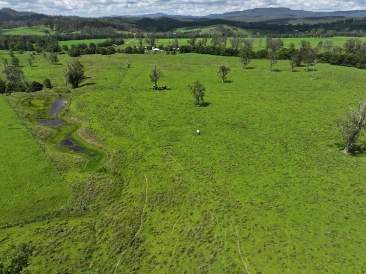 Fifth view of Homely rural property listing, 799 Ghinni Ghi Road, Kyogle NSW 2474