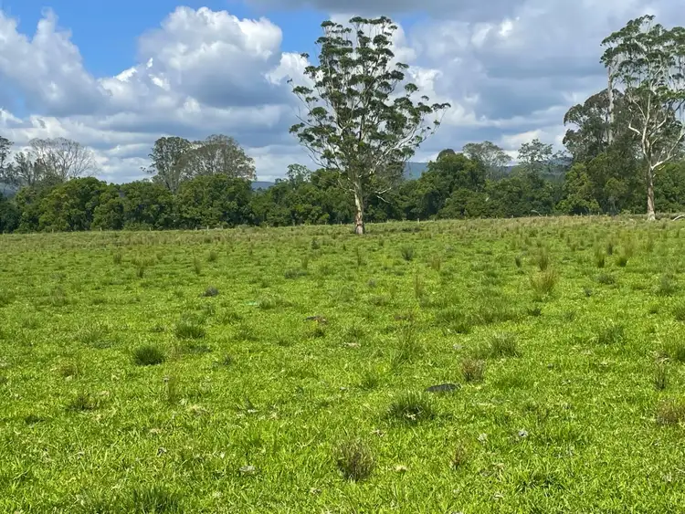 Seventh view of Homely rural property listing, 799 Ghinni Ghi Road, Kyogle NSW 2474