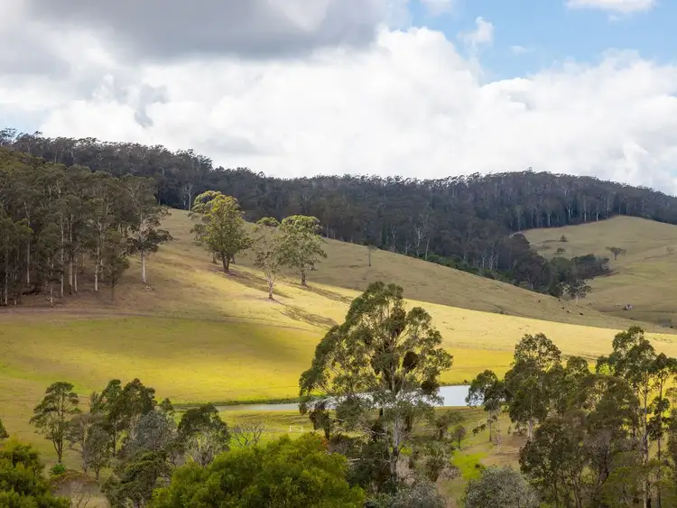 Fifth view of Homely rural property listing, 13 Ballantyne Rd, Nethercote NSW 2549