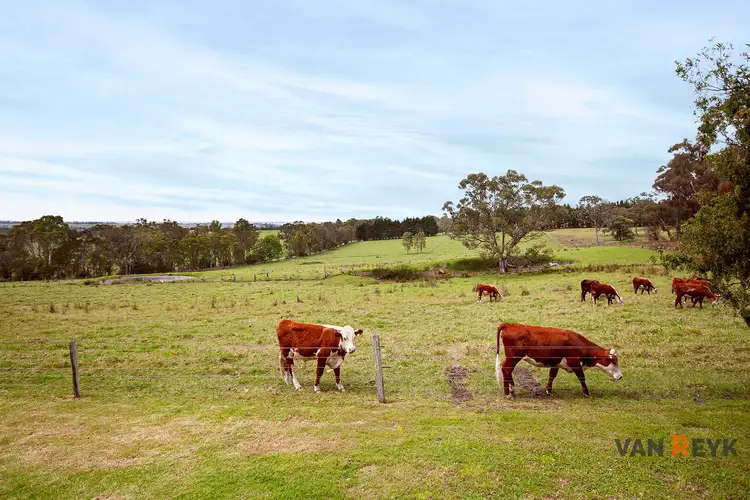 Sixth view of Homely rural property listing, 530 Olivers Rd, Nicholson VIC 3882
