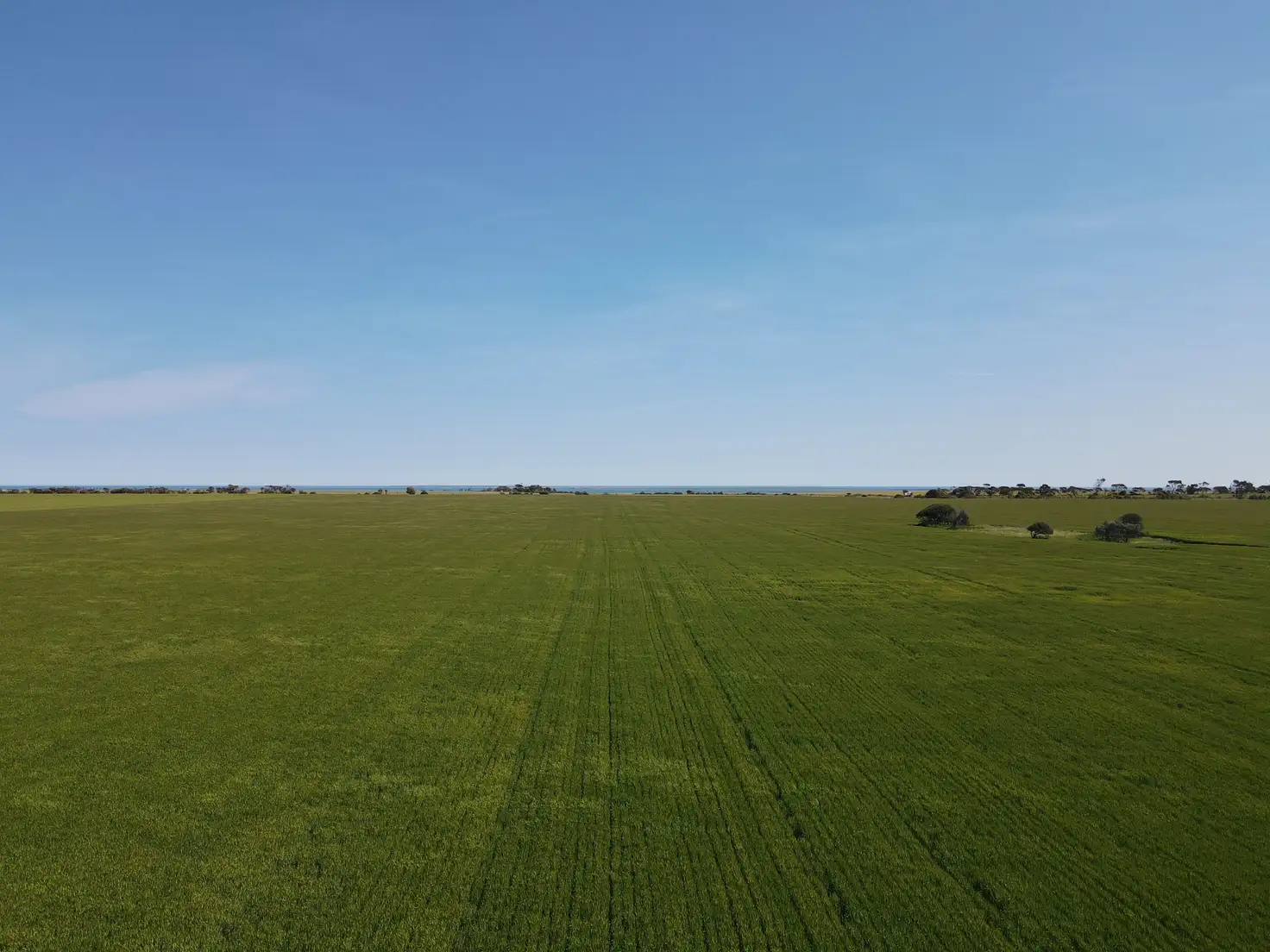 Main view of Homely rural property listing, 'Paramac' Allotment 21 Port Victoria Road, South Kilkerran SA 5573
