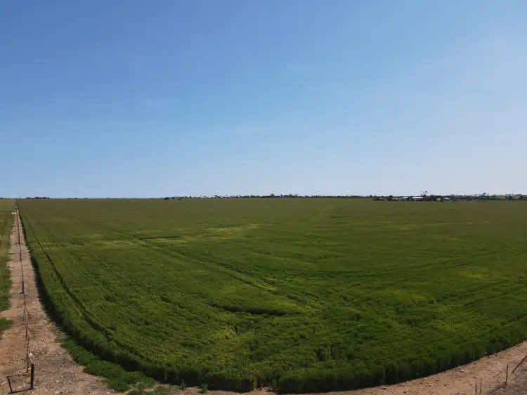 Third view of Homely rural property listing, 'Paramac' Allotment 21 Port Victoria Road, South Kilkerran SA 5573