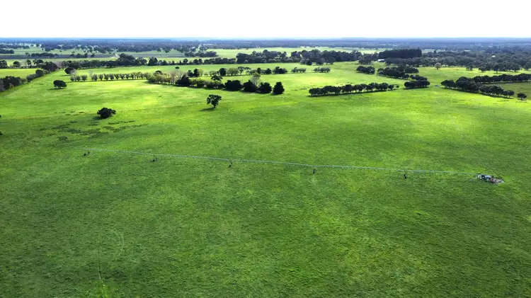 Main view of Homely rural property listing, 5422 Clay Wells Road, Penola SA 5277