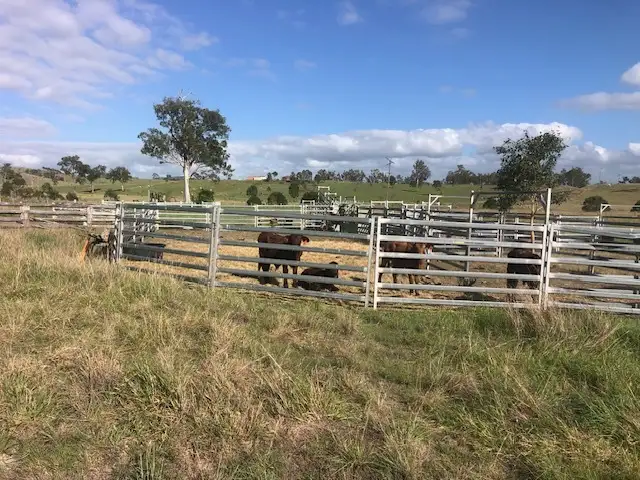Fifth view of Homely house listing, 4316 Esk Kilcoy Rd, Hazeldean QLD 4515