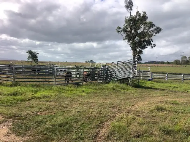 Sixth view of Homely house listing, 4316 Esk Kilcoy Rd, Hazeldean QLD 4515