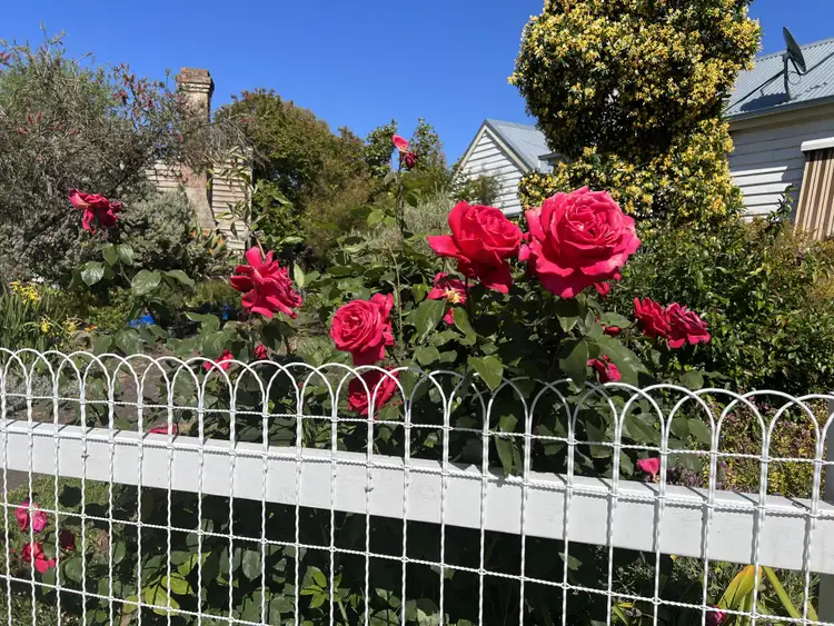 Second view of Homely house listing, 12 Market St, Eaglehawk VIC 3556
