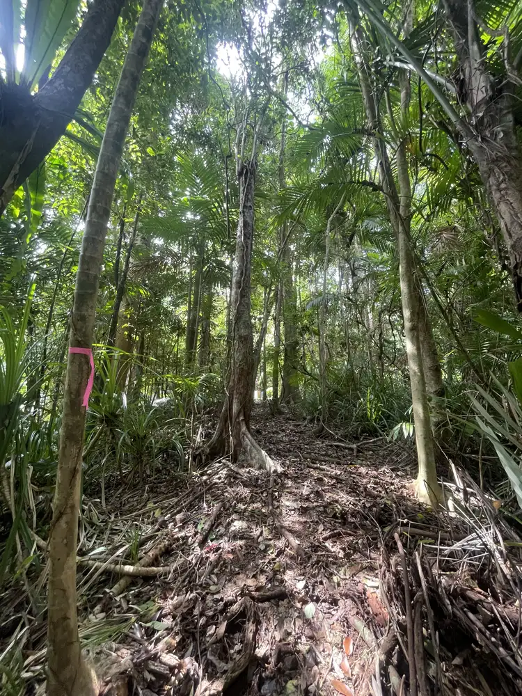 Fifth view of Homely land listing, 17 Bicton Cl, Bingil Bay QLD 4852