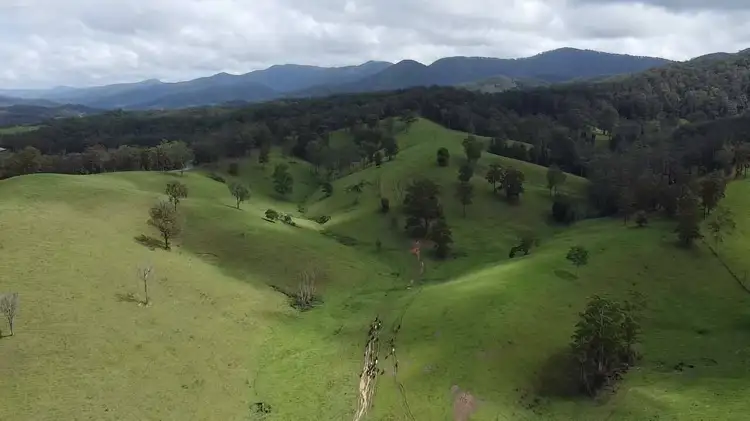 Fourth view of Homely rural property listing, 3253 Taylors Arm Rd, Upper Taylors Arm NSW 2447