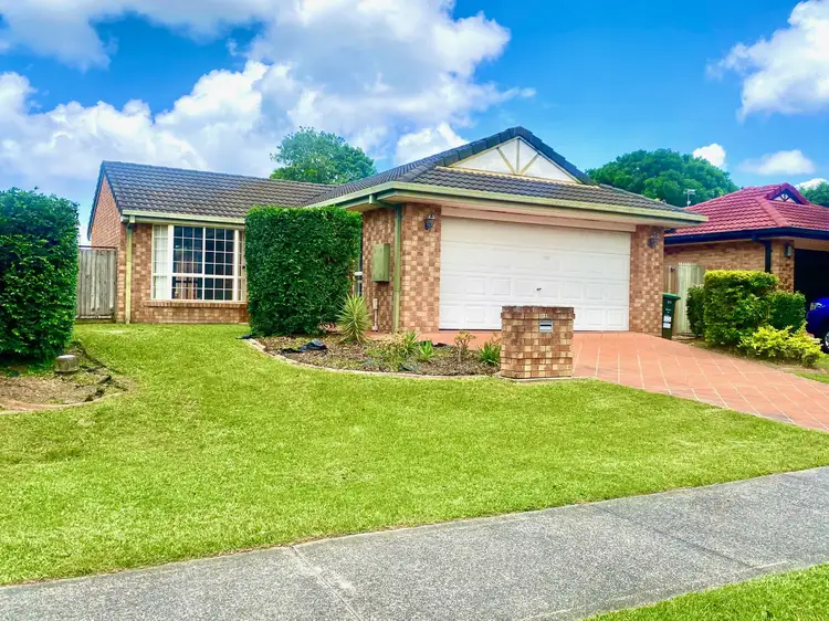 Main view of Homely house listing, 31 Oakdale Ave, Nerang QLD 4211