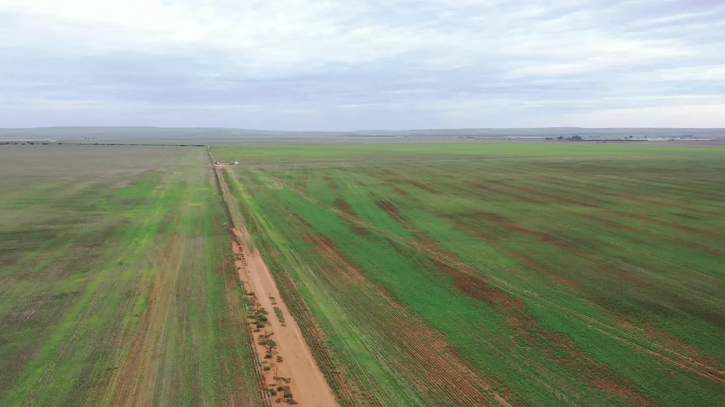 Main view of Homely rural property listing, 251 Augusta Hwy, Port Wakefield SA 5550