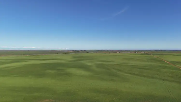 Sixth view of Homely rural property listing, 251 Augusta Hwy, Port Wakefield SA 5550