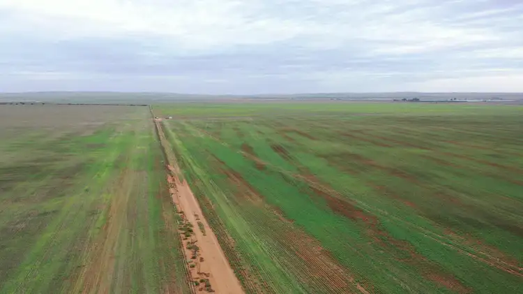 Sixth view of Homely rural property listing, 251 Augusta Hwy, Port Wakefield SA 5550