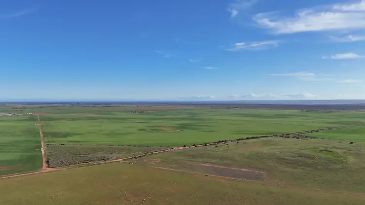 Seventh view of Homely rural property listing, 251 Augusta Hwy, Port Wakefield SA 5550