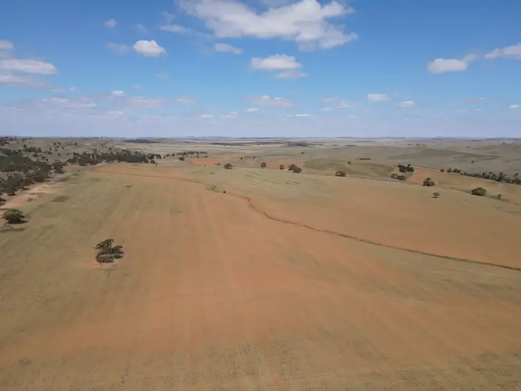 Fifth view of Homely rural property listing, 534 Sparks Rd, Yatina SA 5422