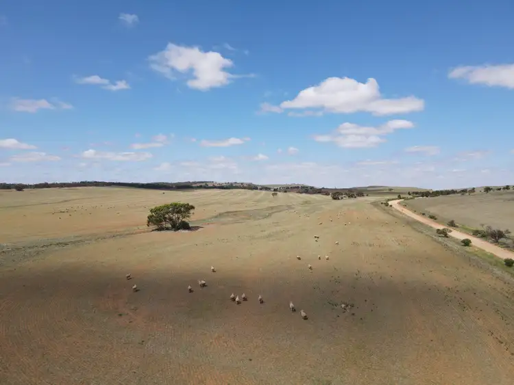 Sixth view of Homely rural property listing, 534 Sparks Rd, Yatina SA 5422