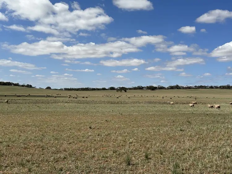 Seventh view of Homely rural property listing, 534 Sparks Rd, Yatina SA 5422