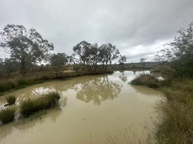 44 Hospital Flat Rd, TINGHA, Inverell NSW 2360