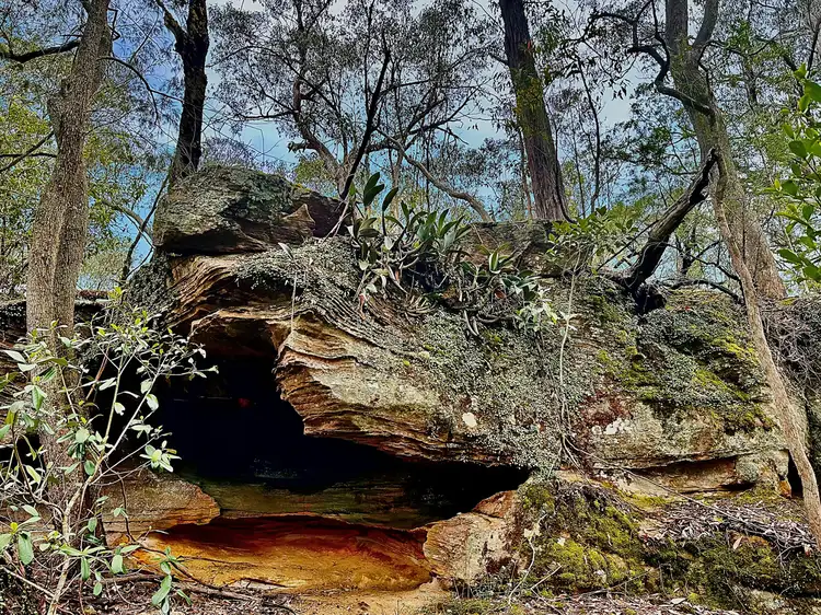 Third view of Homely rural property listing, 780 Milsons Arm Road, Wollombi NSW 2325