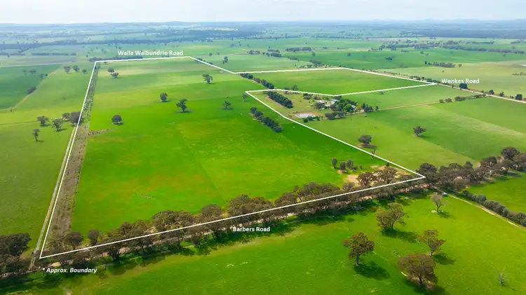 Main view of Homely rural property listing, 'Part Sunrise'/375 Walla Walbundrie Road, Walla Walla NSW 2659