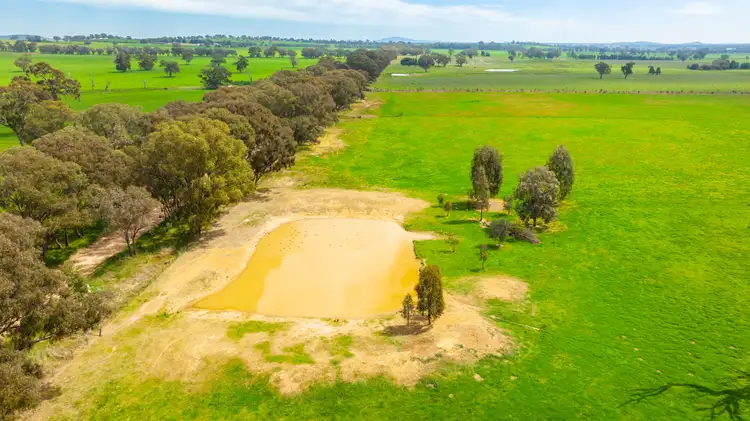 Third view of Homely rural property listing, 'Part Sunrise'/375 Walla Walbundrie Road, Walla Walla NSW 2659