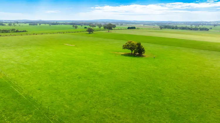 Fifth view of Homely rural property listing, 'Part Sunrise'/375 Walla Walbundrie Road, Walla Walla NSW 2659