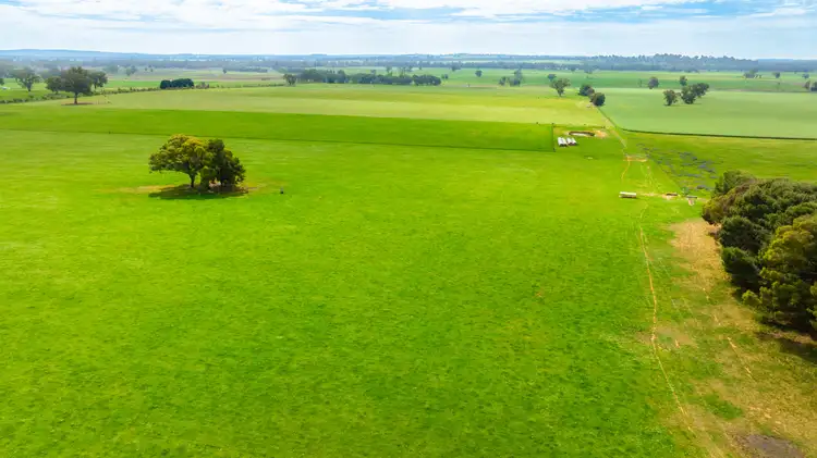 Sixth view of Homely rural property listing, 'Part Sunrise'/375 Walla Walbundrie Road, Walla Walla NSW 2659