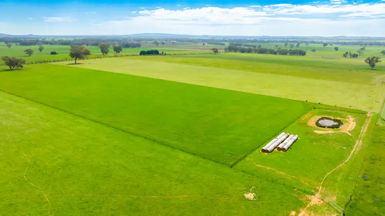 Seventh view of Homely rural property listing, 'Part Sunrise'/375 Walla Walbundrie Road, Walla Walla NSW 2659