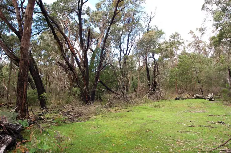 Sixth view of Homely land listing, 4 Thryptomene Court, Halls Gap VIC 3381