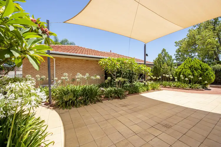 Third view of Homely house listing, 20 Collingwood St, Port Pirie SA 5540