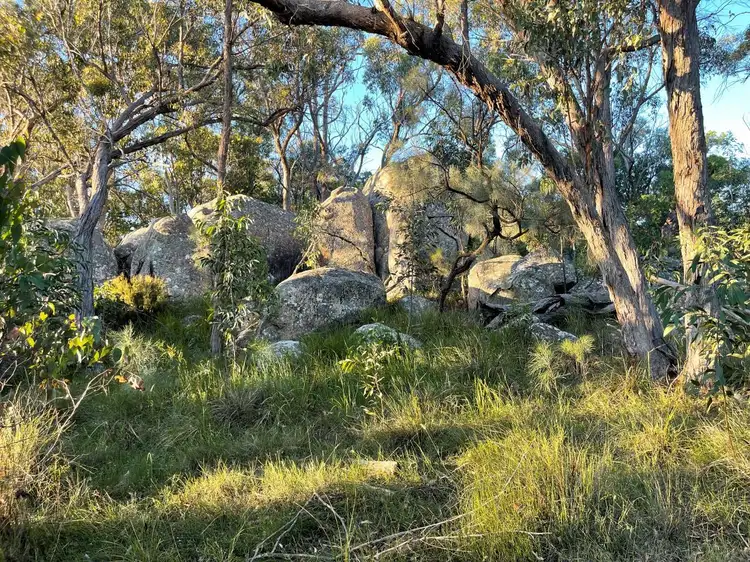 Fifth view of Homely house listing, 146 Barnes Rd, Applethorpe QLD 4378