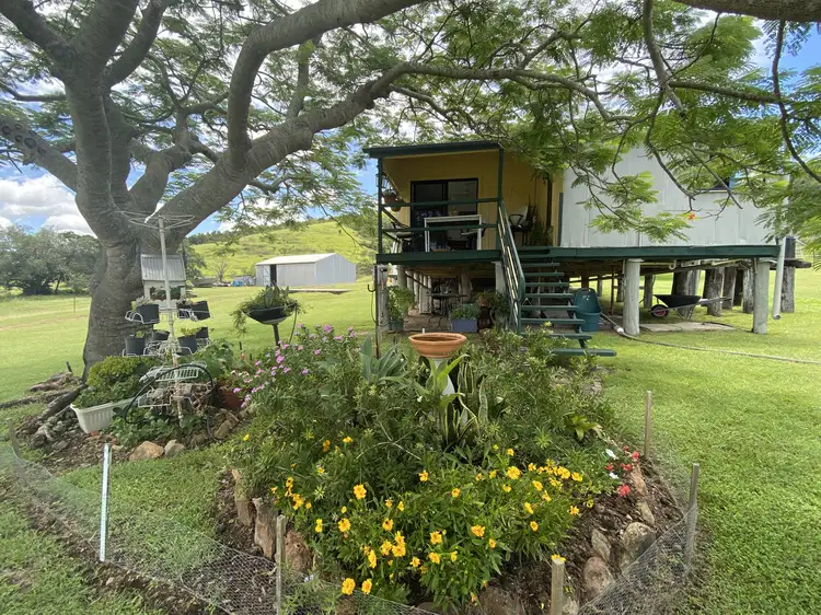 Main view of Homely rural property listing, 955 Hourigan Creek Rd, Raglan QLD 4697