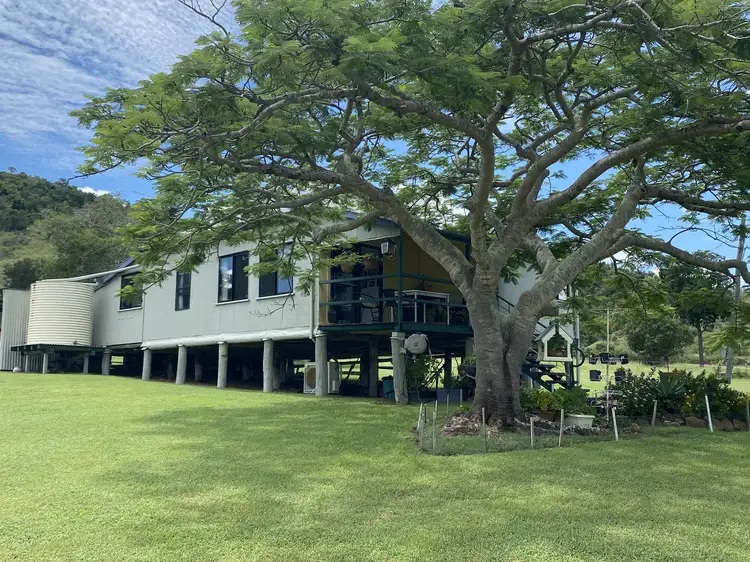 Second view of Homely rural property listing, 955 Hourigan Creek Rd, Raglan QLD 4697