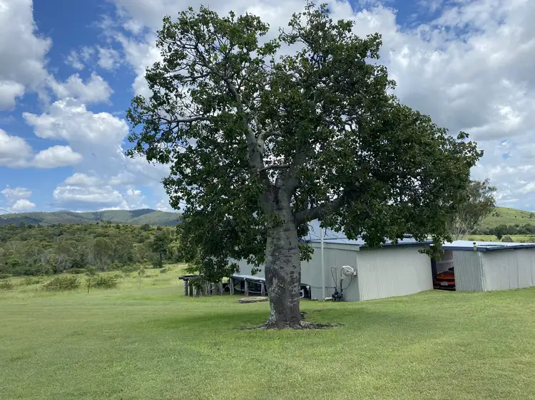 Third view of Homely rural property listing, 955 Hourigan Creek Rd, Raglan QLD 4697