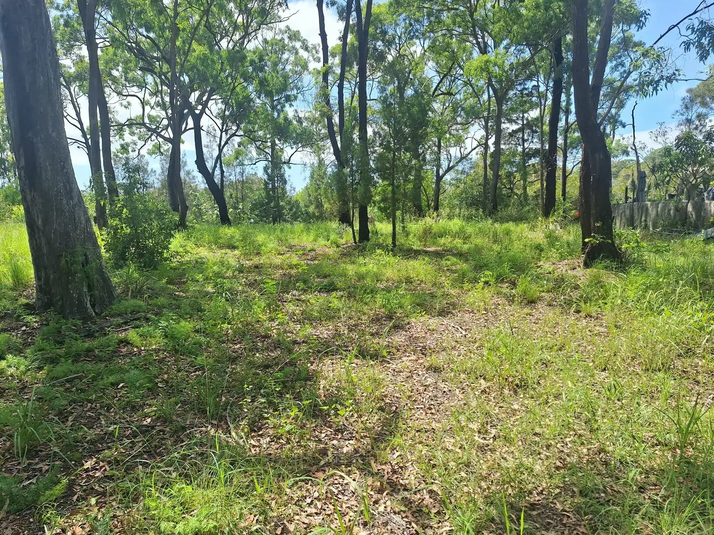 Main view of Homely land listing, 5 Blue Vista St, Macleay Island QLD 4184