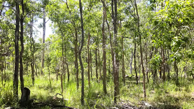Third view of Homely land listing, 347 Millstream Pde, Millstream QLD 4888