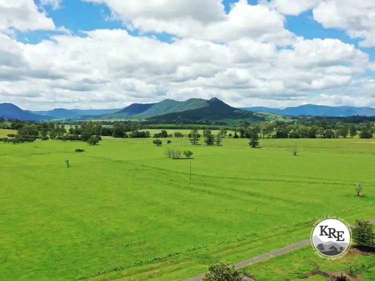 Main view of Homely rural property listing, 849 Wiangaree Back Road, Kyogle NSW 2474
