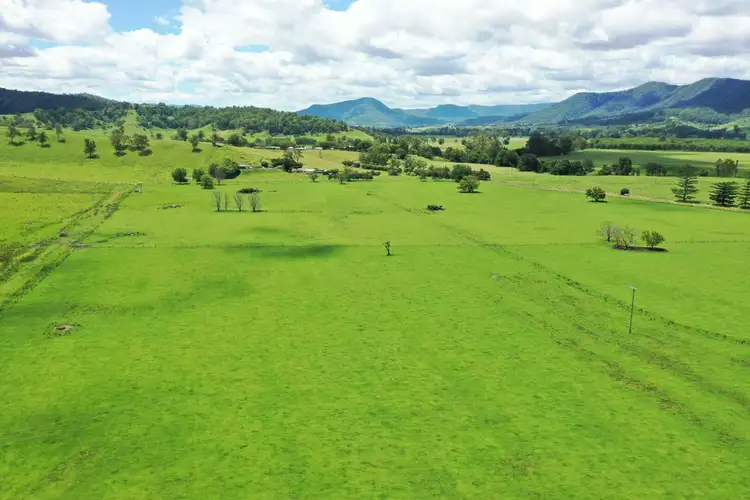 Second view of Homely rural property listing, 849 Wiangaree Back Road, Kyogle NSW 2474
