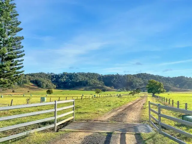 Third view of Homely rural property listing, 849 Wiangaree Back Road, Kyogle NSW 2474