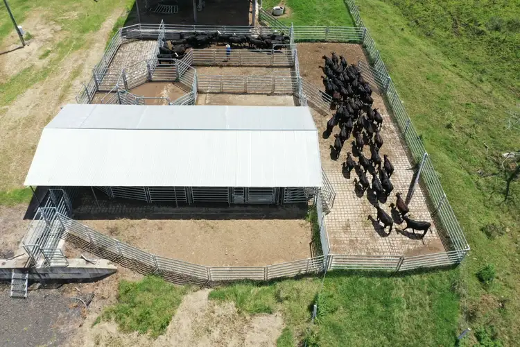 Fifth view of Homely rural property listing, 849 Wiangaree Back Road, Kyogle NSW 2474