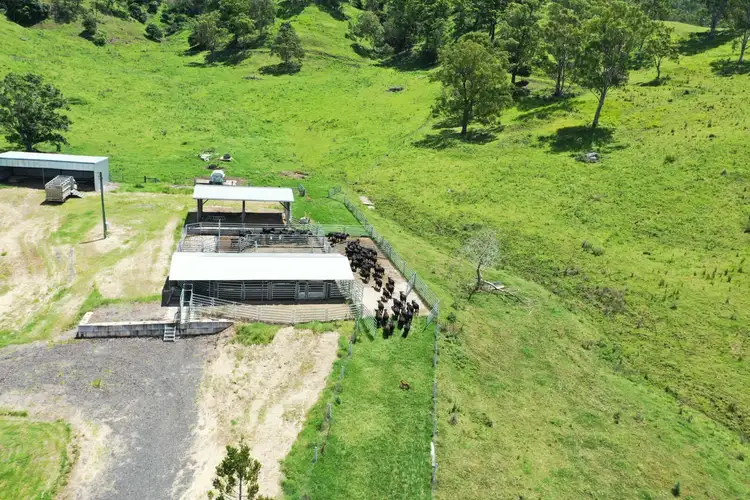 Sixth view of Homely rural property listing, 849 Wiangaree Back Road, Kyogle NSW 2474