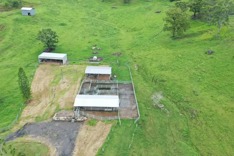 Seventh view of Homely rural property listing, 849 Wiangaree Back Road, Kyogle NSW 2474