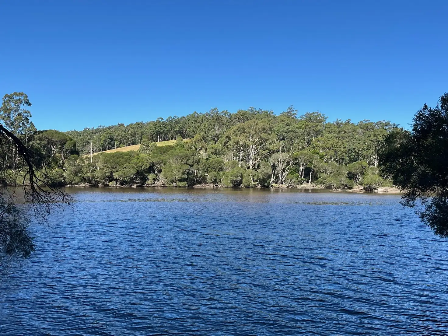 Main view of Homely rural property listing, 20 Peisleys Rd, GENOA Via, Mallacoota VIC 3892